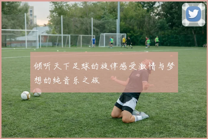 倾听天下足球的旋律感受激情与梦想的纯音乐之旅