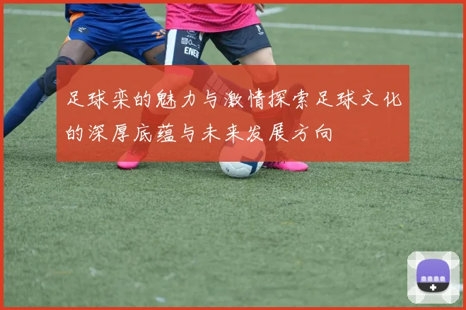 足球栾的魅力与激情探索足球文化的深厚底蕴与未来发展方向