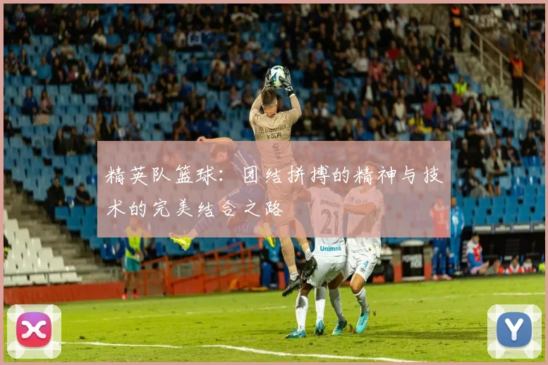 精英队篮球：团结拼搏的精神与技术的完美结合之路