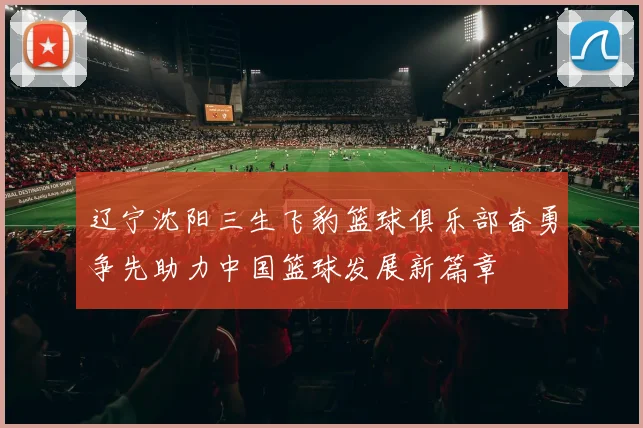 辽宁沈阳三生飞豹篮球俱乐部奋勇争先助力中国篮球发展新篇章